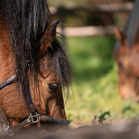 - Parking Gratuit - La Baule - Cuisine - Wifi - Calme * Pornichet