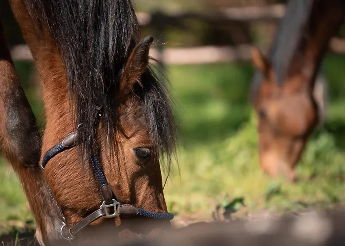 - Parking Gratuit - La Baule - Cuisine - Wifi - Calme * Pornichet